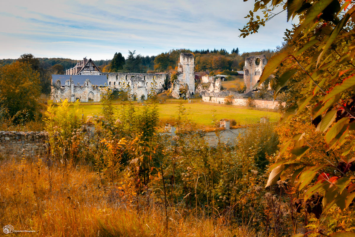 Abbaye de Mortemer, Abbaye en ruine, Lisors ©N.Daré