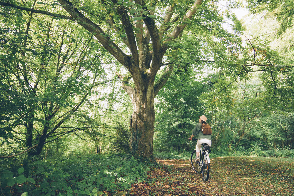 Balade à vélo électrique - Forêt de Lyons ©Max Coquard, Bestjobers - Eure Tourisme