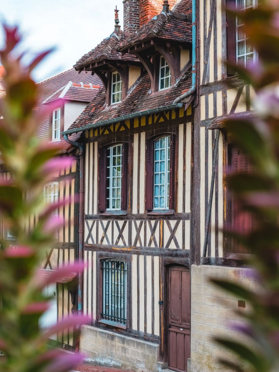Lyons la Forêt © Teddy Bear Photos