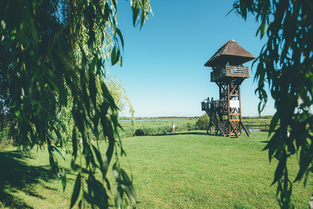 Observatoire, Marais Vernier © Max Coquart, Best Jobers