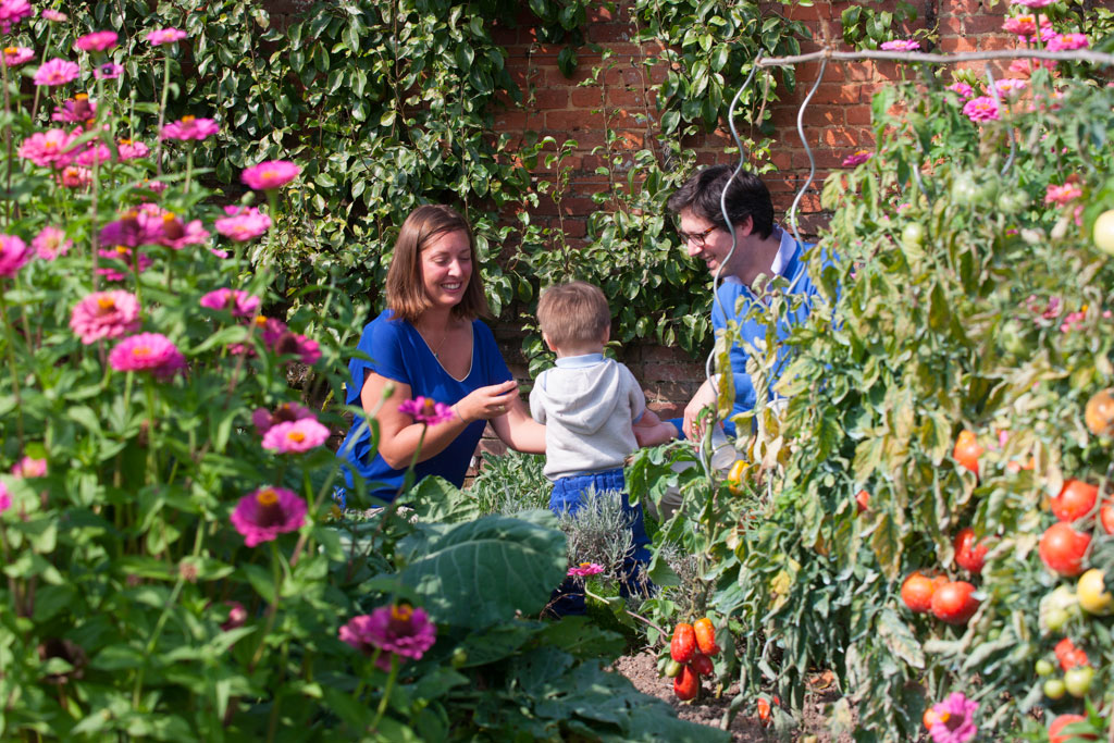 Potager du Château, Acquigny © ADT de l'Eure, G. Targat