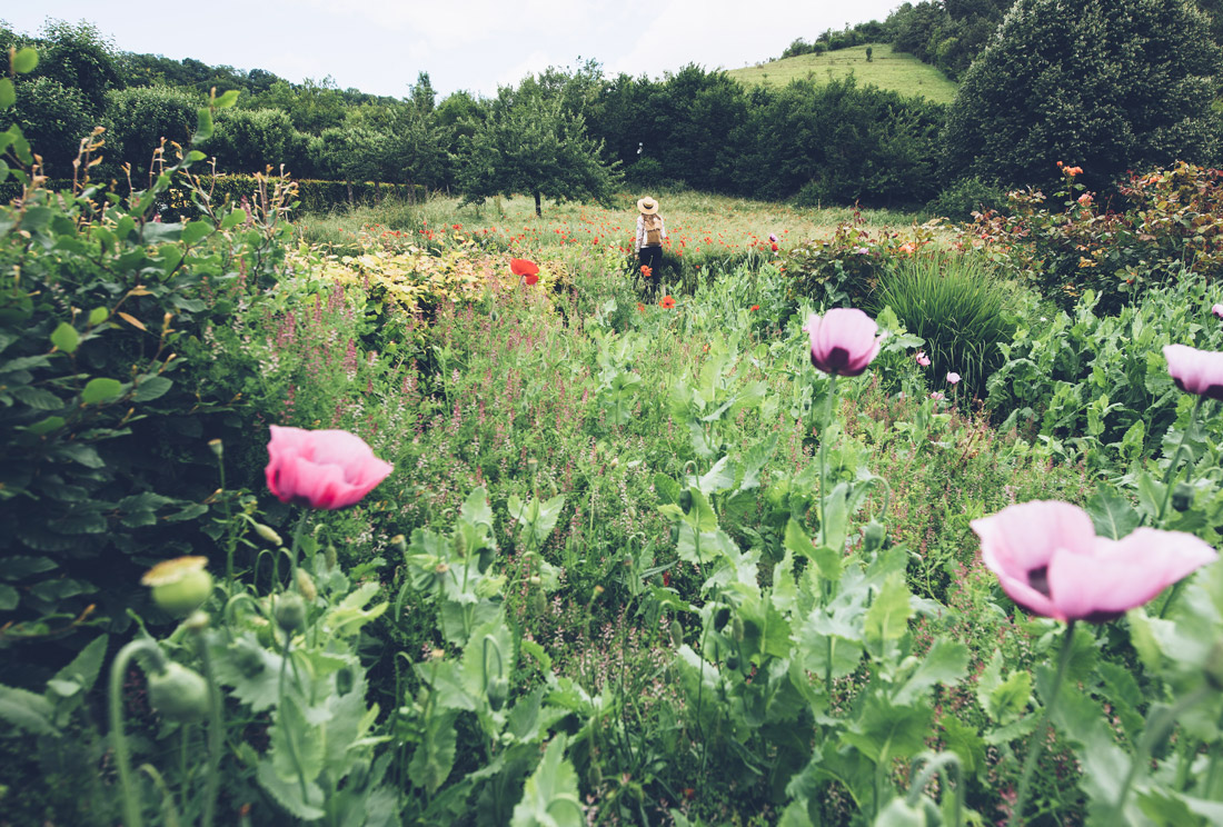 Balade nature à Giverny © Max Coquard, Bestjobers