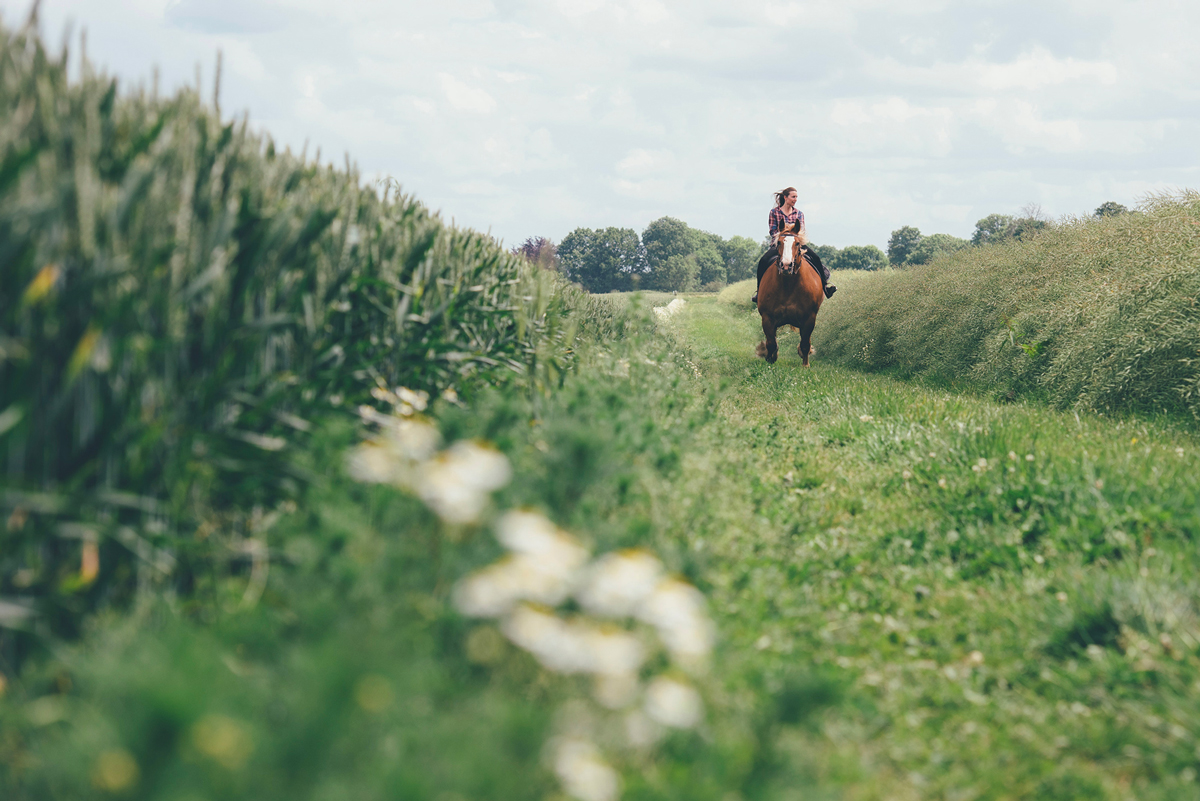Balade dans un champ de blé, Ferme de Beaulieu, Cormeilles © Max Coquard, Best Jobers
