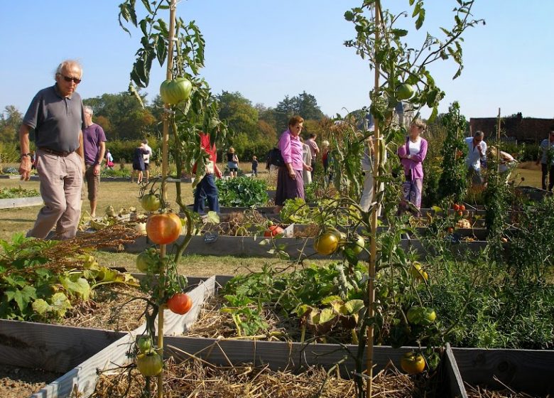 Beaumesnil Kitchen Garden