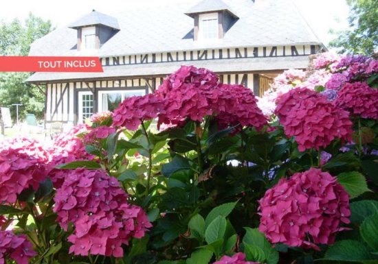 Gîte LA GRANGE AUX HORTENSIAS