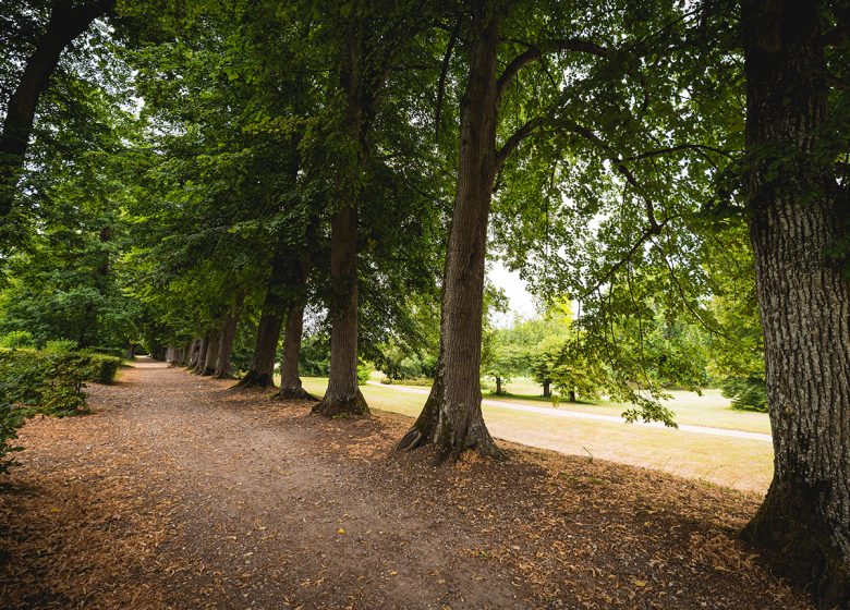 Park of the Château de Bizy