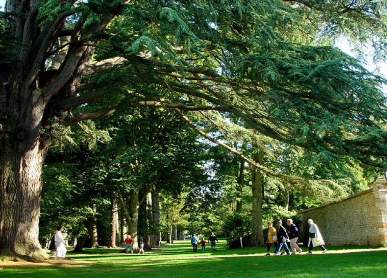 Harcourt Arboretum