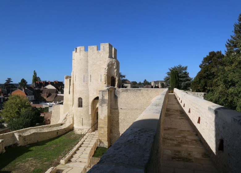 Château de Gisors