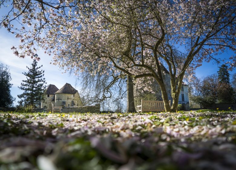 Medieval Château d’Harcourt