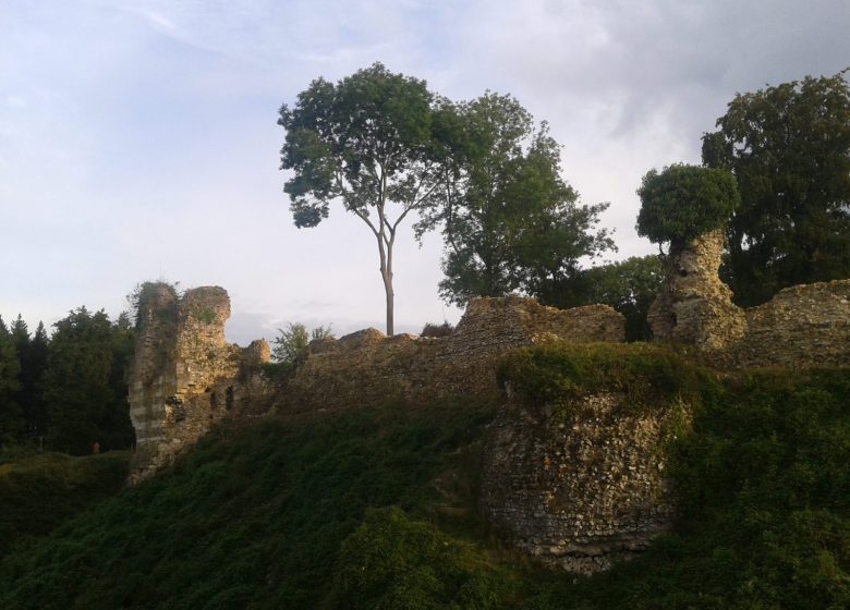 Medieval Château of Montfort