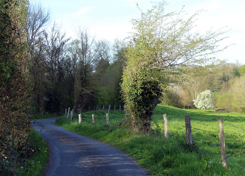 Chemin du Caillou Marais