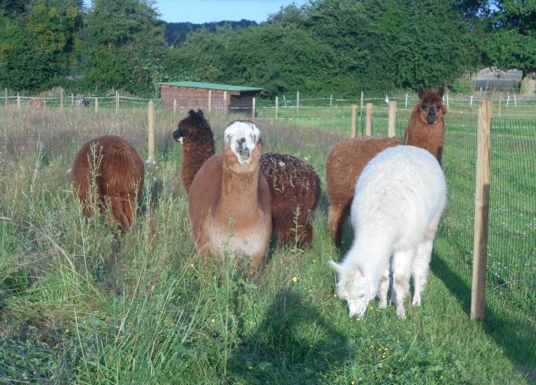 ‘Chez Poly’ natural farm