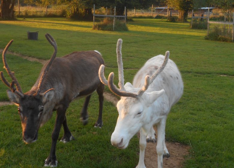 ‘Chez Poly’ natural farm