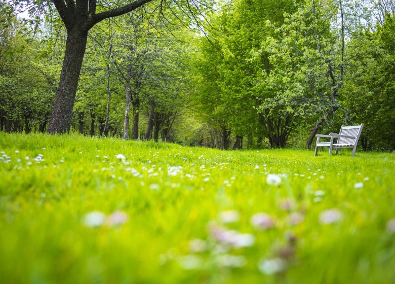 Harcourt Arboretum