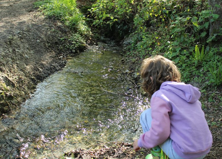 Chemin du Caillou Marais