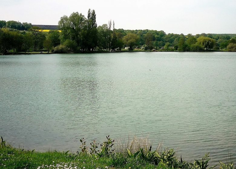 L’étang de l’Aulnaie
