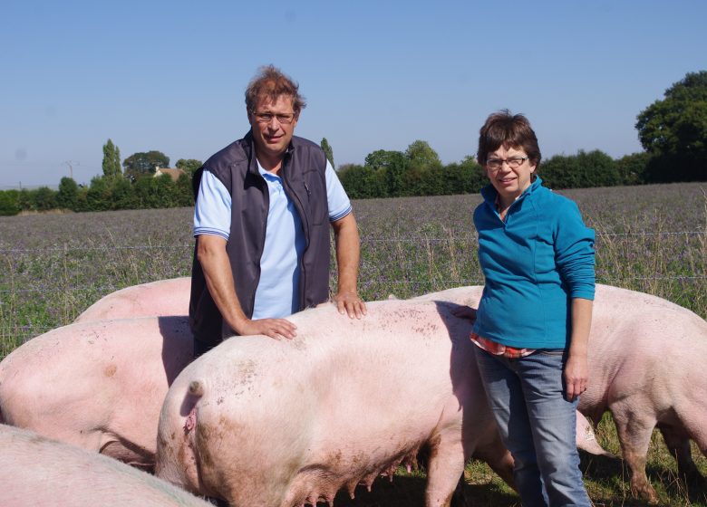 La Ferme Bio des Lyres (organic farm produce)