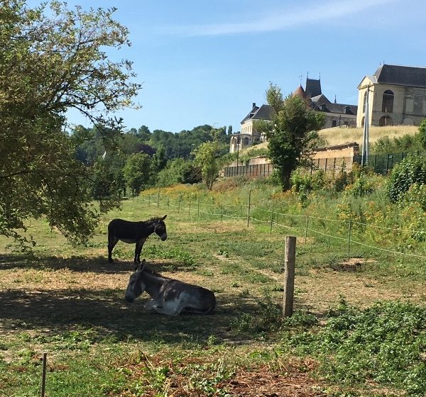 Le logis des clos