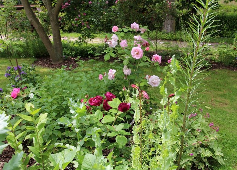Chasse Spleen Rose Garden