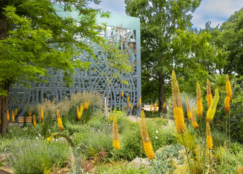 Serres du jardin botanique