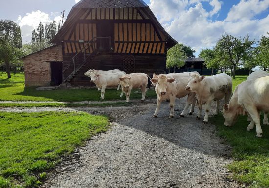 F. Biot, le colombier de la lanterne Le Pigeonnier de la Lanterne