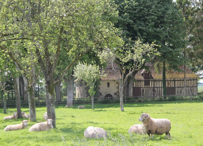 Pierrelaye Farm