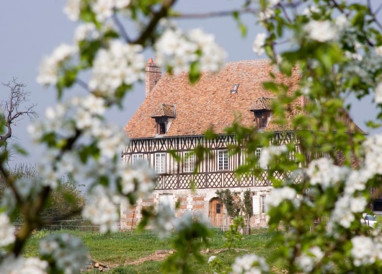 Domaine des Hauts Vents Farm