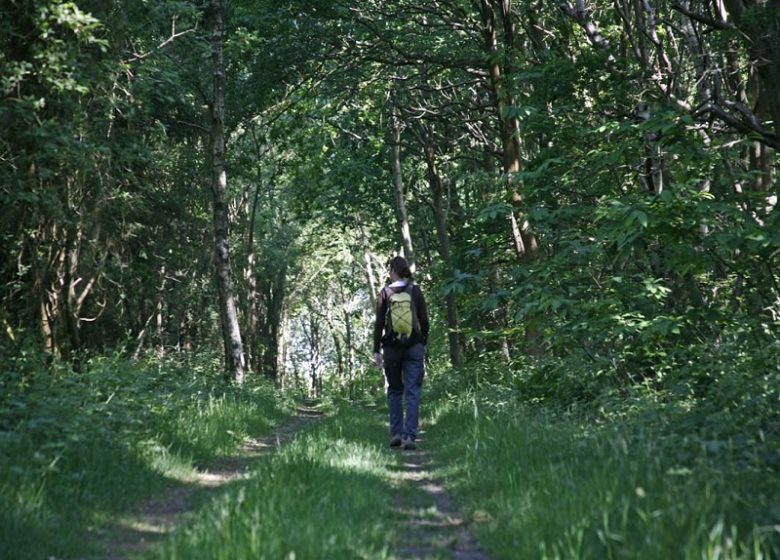 Espace Naturel Sensible : le Sentier des Bruyères