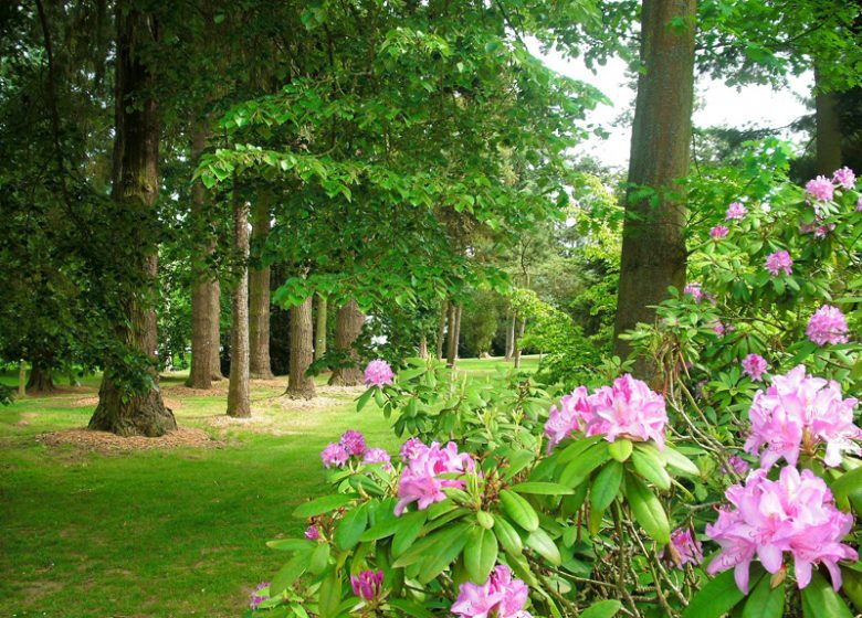 Harcourt Arboretum