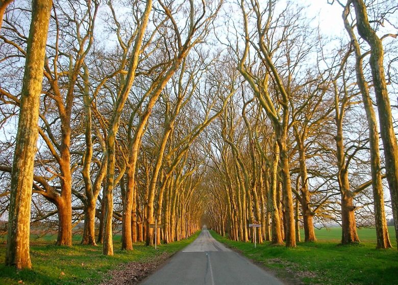 Park of the Château d’Heudicourt