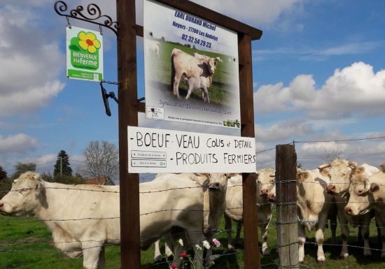 © Ferme Durand  Ferme Durand