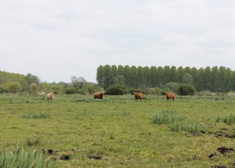 Sentier de l’Anguille Protected Area