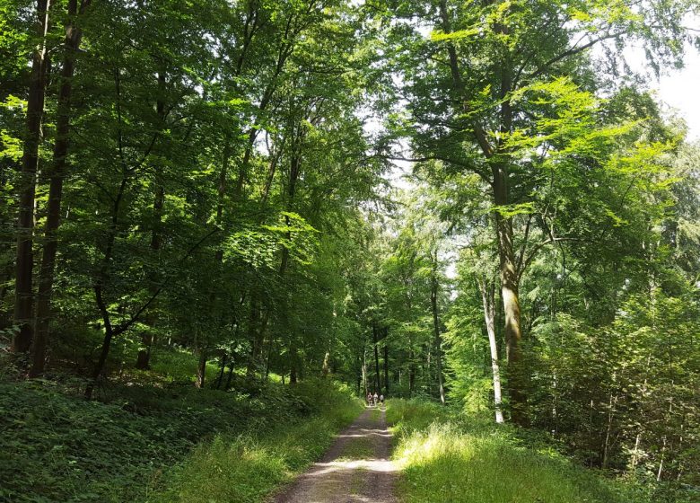 Sentier du Four à Chaux