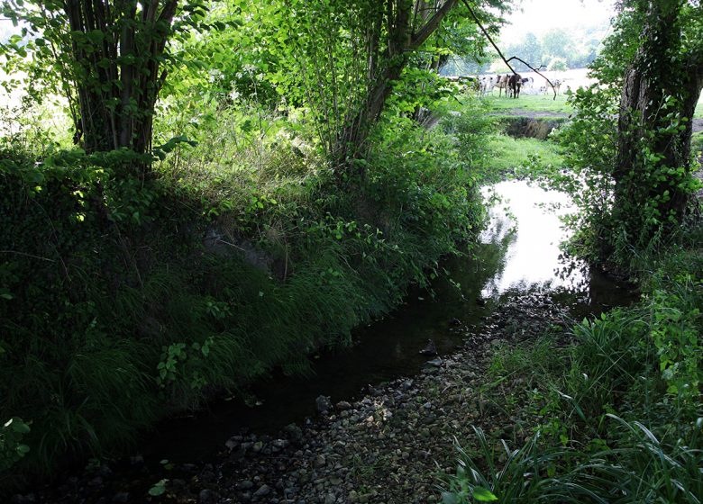 Sentier de la Biodiversité