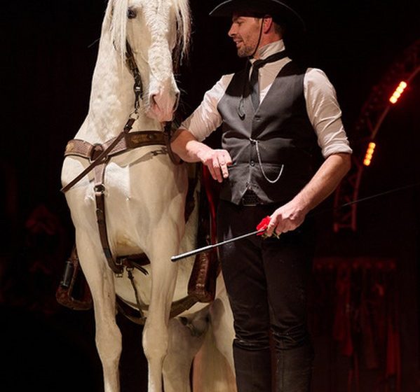 Le Manège de Tilly