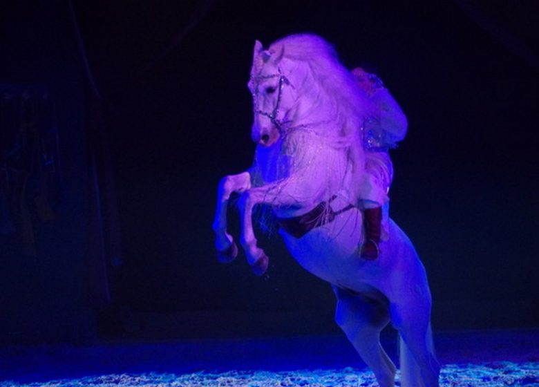 Le Manège de Tilly