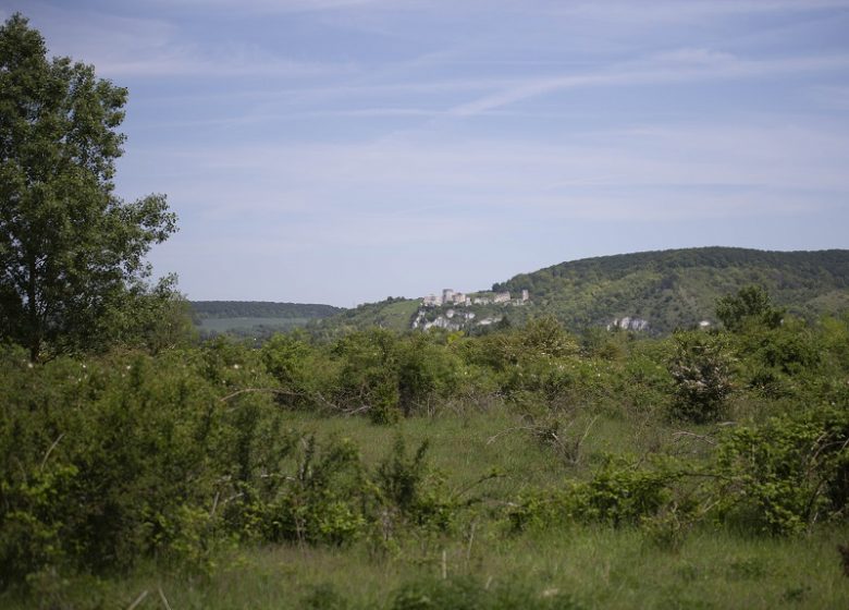 Espace Naturel Sensible : le sentier du Criquet