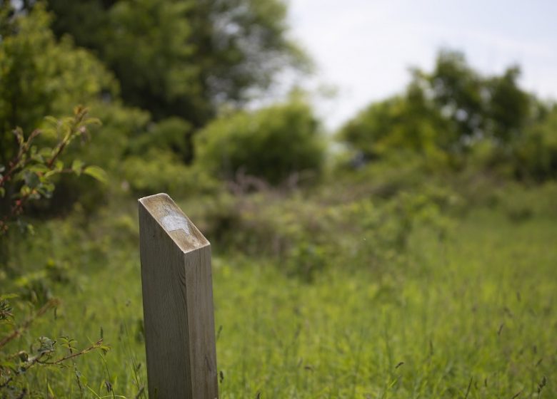 Espace Naturel Sensible : le sentier du Criquet