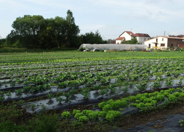 La fermette bio de l’Epte