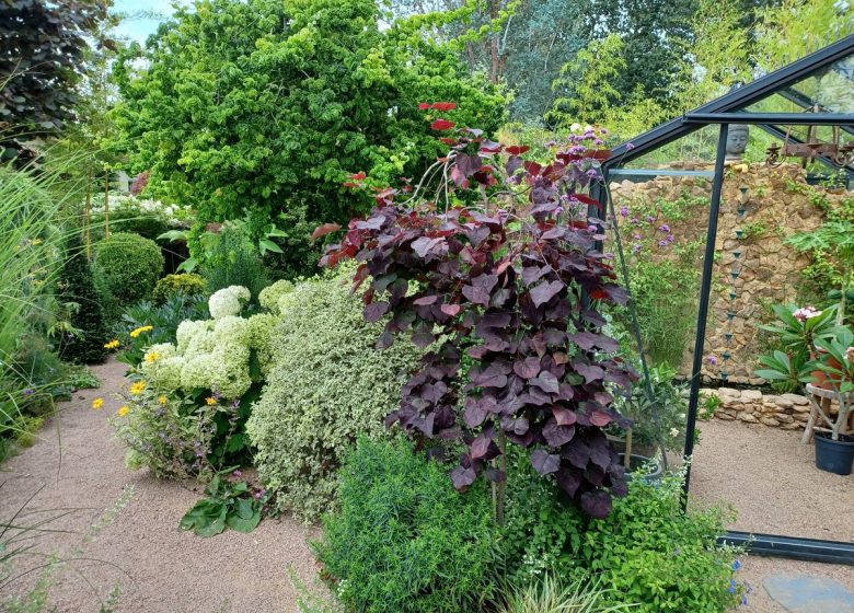 Jardin des Coteaux de St Michel