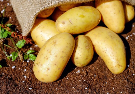 Pixabay Pays en Vrai (cereal and organic potato producers)