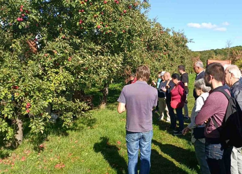 Museum of Cider